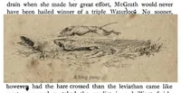 Picture 2 of 13 from Coursing and Falconry (the Badminton Library of Sports and Pastimes) (1892), leaf 31