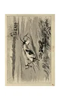 An illustration from Coursing and Falconry (the Badminton Library of Sports and Pastimes) (1892)