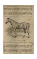 Picture 4 of 6 from Riding; Polo (the Badminton Library of Sports and Pastimes) (1891), leaf 346