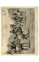 An illustration from Riding; Polo (the Badminton Library of Sports and Pastimes) (1891)