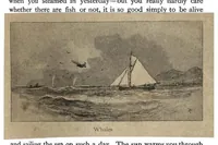 Picture 7 of 12 from Yachting, in Two Volumes, Vol. I (1894), leaf 230