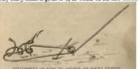 An illustration from Sea Fishing (the Badminton Library of Sports and Pastimes) (1895)