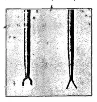 An illustration from Rowing; Punting (the Badminton Library of Sports and Pastimes) (1898)