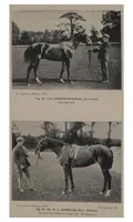 Picture 3 of 13 from Polo (1898), leaf 118