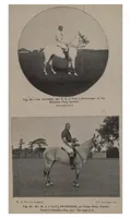 An illustration from Polo (1898)