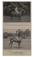 Picture 7 of 13 from Polo (1898), leaf 282
