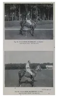 Picture 13 of 13 from Polo (1898), leaf 466