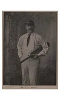 Picture 5 of 12 from Cricket (1891), leaf 162