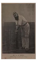An illustration from Cricket (1891)