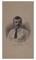 Picture 8 of 12 from Cricket (1891), leaf 294