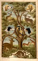 Picture 2 of 3 from Covert Side Sketches; or, Thoughts on Hunting suggested by many days in many Countries with Fox, Deer and Hare (1878), leaf 7