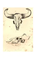 An illustration from Sport in British Burmah, Assam and the Cassyah and Jyntiah Hills, in Two Volumes, Vol. I (1879)