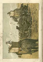 An illustration from Sport in British Burmah, Assam and the Cassyah and Jyntiah Hills, in Two Volumes, Vol. II (1879)
