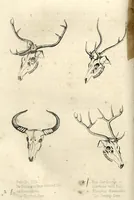 An illustration from Sport in British Burmah, Assam and the Cassyah and Jyntiah Hills, in Two Volumes, Vol. II (1879)