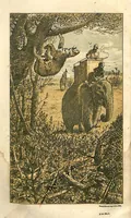 An illustration from Sport in British Burmah, Assam and the Cassyah and Jyntiah Hills, in Two Volumes, Vol. II (1879)