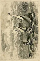 Picture 3 of 10 from Canoe Travelling: Log of a Cruise on the Baltic and Practical Hints on Building and Fitting Canoes (1871), leaf 116