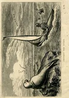Picture 1 of 10 from Canoe Travelling: Log of a Cruise on the Baltic and Practical Hints on Building and Fitting Canoes (1871), leaf 3