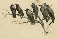 An illustration from Amateur Theatricals (1879)