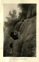 Picture 6 of 13 from Rifle and Romance in the Indian Jungle; a Record of Thirteen Years (1905), leaf 158
