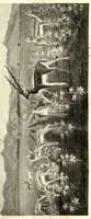 An illustration from Rifle and Romance in the Indian Jungle; a Record of Thirteen Years (1905)