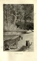 Picture 1 of 13 from Rifle and Romance in the Indian Jungle; a Record of Thirteen Years (1905), leaf 30