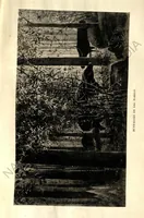 Picture 13 of 13 from Rifle and Romance in the Indian Jungle; a Record of Thirteen Years (1905), leaf 470