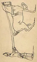 An illustration from The Horse: As He Was, As He Is and As He Ought to be (1881)