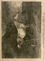 An illustration from The Horse: As He Was, As He Is and As He Ought to be (1881)