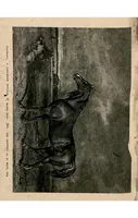 An illustration from The Horse: As He Was, As He Is and As He Ought to be (1881)