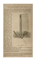 Picture 5 of 11 from Tennis; Lawn Tennis; Rackets; Fives (the Badminton Library of Sports and Pastimes) (1890), leaf 224