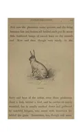 An illustration from Sport; Fox-Huting, Salmon-Fishing, Covert-Shooting, Deer-Stalking (1885)