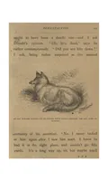 Picture 6 of 6 from Sport; Fox-Huting, Salmon-Fishing, Covert-Shooting, Deer-Stalking (1885), leaf 262