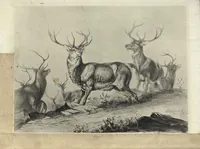 An illustration from Sport; Fox-Huting, Salmon-Fishing, Covert-Shooting, Deer-Stalking (1885)