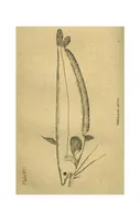 Picture 3 of 7 from Tank Angling in India (1887), leaf 102