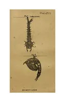 Picture 7 of 7 from Tank Angling in India (1887), leaf 177