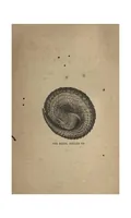 Picture 1 of 10 from Two Years in the Jungle: The Experiences of a Hunter and Naturalist, in India, Ceylon, the Malay Peninsula and Borneo (1885), leaf 25
