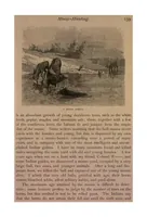 An illustration from Sport with Gun and Rod, in American Woods and Waters, in Two Volumes, Vol. I (1884)