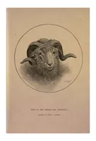 Picture 4 of 5 from Sport with Gun and Rod, in American Woods and Waters, in Two Volumes, Vol. I (1884), leaf 282