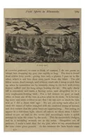 Picture 3 of 5 from Sport with Gun and Rod, in American Woods and Waters, in Two Volumes, Vol. II (1884), leaf 268