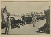 An illustration from Bird Hunting on the White Nile: A Naturalist’s Experiences in the Soudan (1902)