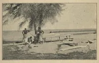 An illustration from Bird Hunting on the White Nile: A Naturalist’s Experiences in the Soudan (1902)