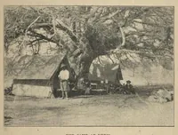 An illustration from Bird Hunting on the White Nile: A Naturalist’s Experiences in the Soudan (1902)