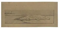Picture 9 of 12 from Thirty Years of Shikar (1895), leaf 287