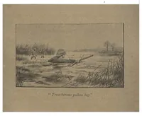 Picture 3 of 12 from Thirty Years of Shikar (1895), leaf 51