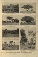 Picture 1 of 9 from Life Histories of African Game Animals, Vol. I (1915), leaf 80