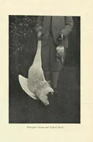 Picture 9 of 13 from Wild Sport and Some Stories (1912), leaf 194
