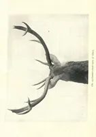 An illustration from Wild Sport and Some Stories (1912)