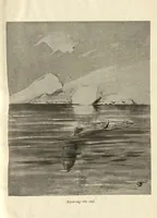 An illustration from Wild Sport and Some Stories (1912)