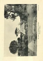 An illustration from Tiger Slayer by Order (Digby Davies, Late Bombay Police) (1915)
