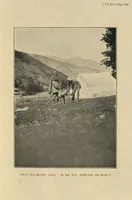 Picture 5 of 10 from The Markhor, Sport in Cashimere; translated from the German (1910), leaf 112